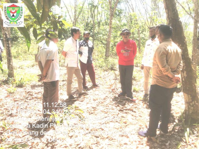 Keterangan foto: Kades Jambu bersama Dinas Pariwisata saat meninjau lokasi (dok.istimewa)