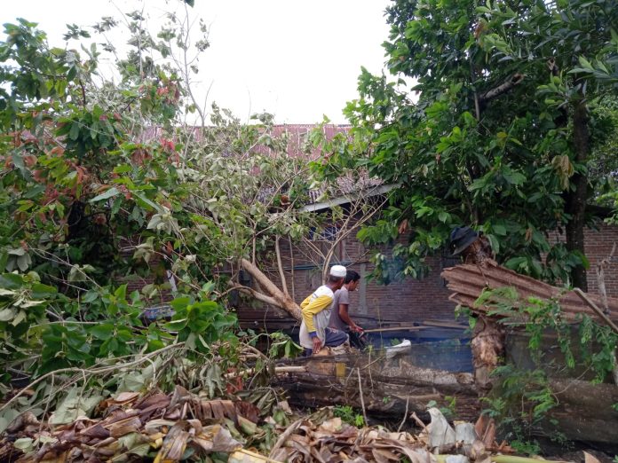 Warga bergotong royong menyingkirkan pohon tumbang yang menimpa rumah Warga (dok.istimewa)