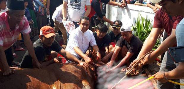 Keterangan foto: Gubernur Dki Jakarta Memotong Hewan Kurbannya Sendiri (dok.istimewa)