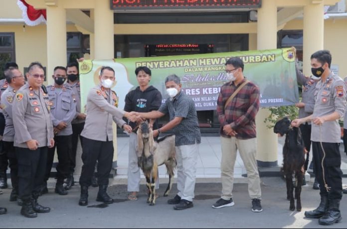 Keterangan foto: Penyerahan Hewan Qurban Kambing oleh Kapolres Kebumen kepada Ketua PWI Kebumen (dok.Humas Polres)