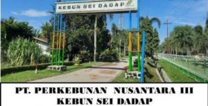 Keterangan foto : Kantor Managemen PTP Nusantara - III Kebun Sei Dadap Kabupaten Asahan ( doc/istimewa )